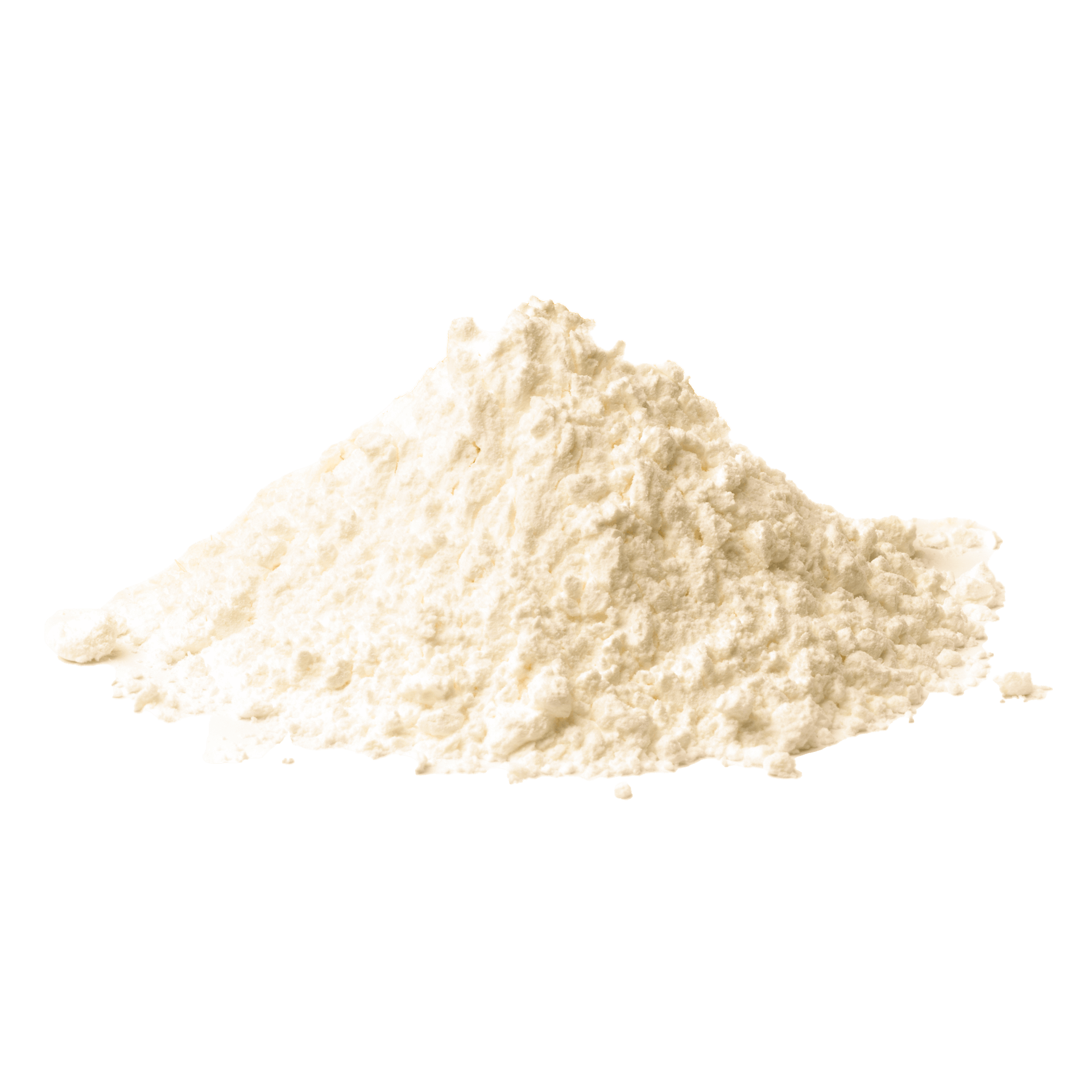Whole Wheat Flour